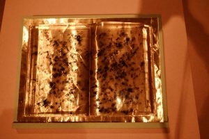 5102B96B 0D97 40F2 B8FB E79E5E67ACC5 1 201 a